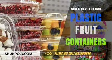 Creative Ways to Reuse Leftover Plastic Fruit Containers