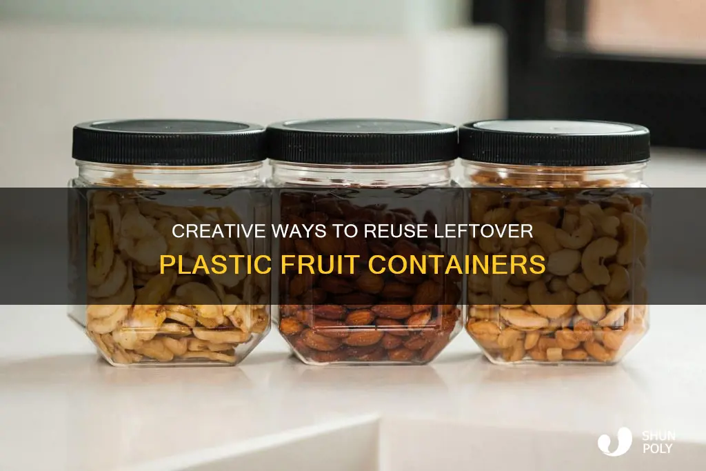 what to do with leftover plastic fruit containers