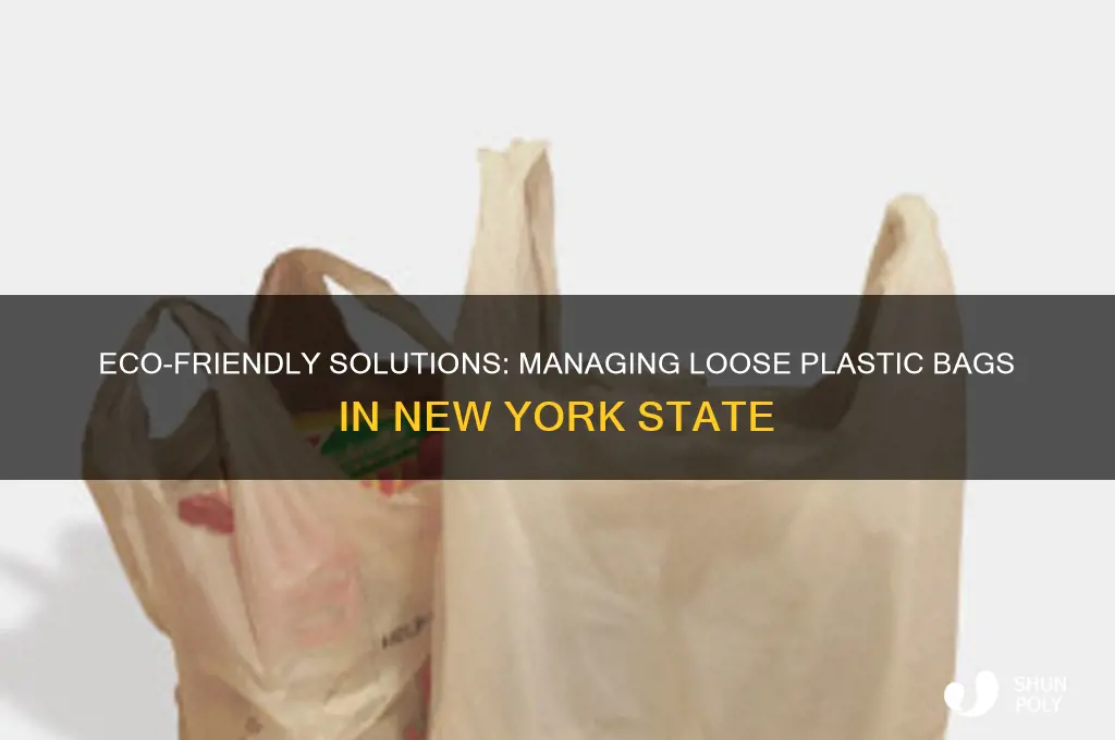 what to do with loose plastic bags nys