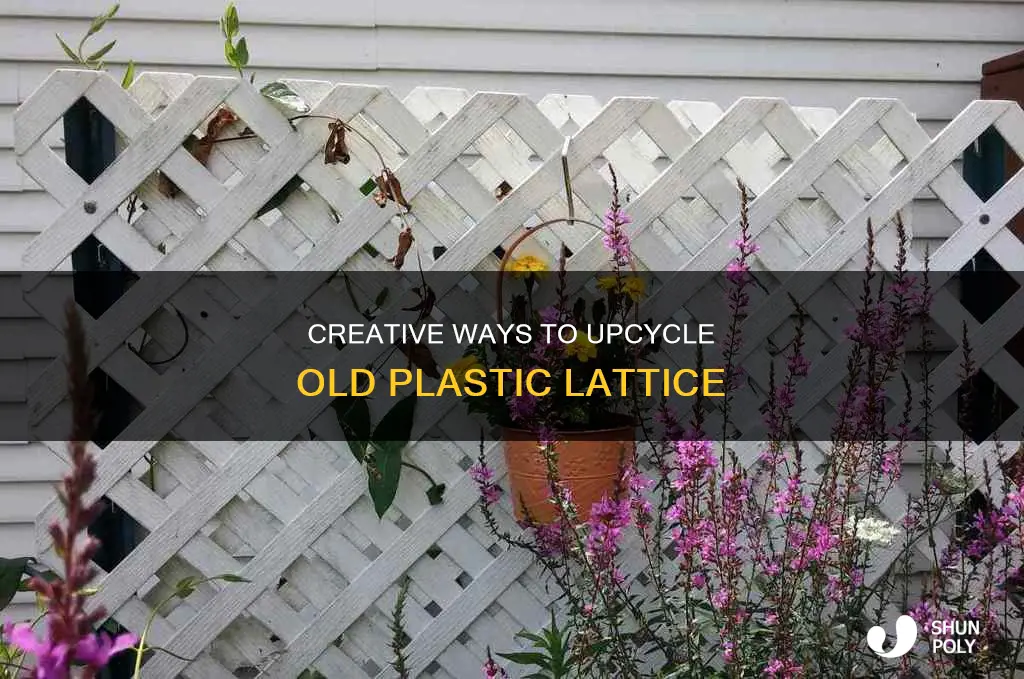 what to do with old plastic lattice