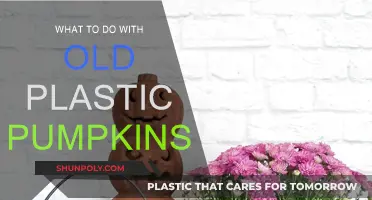 Creative Ways to Upcycle Old Plastic Pumpkins