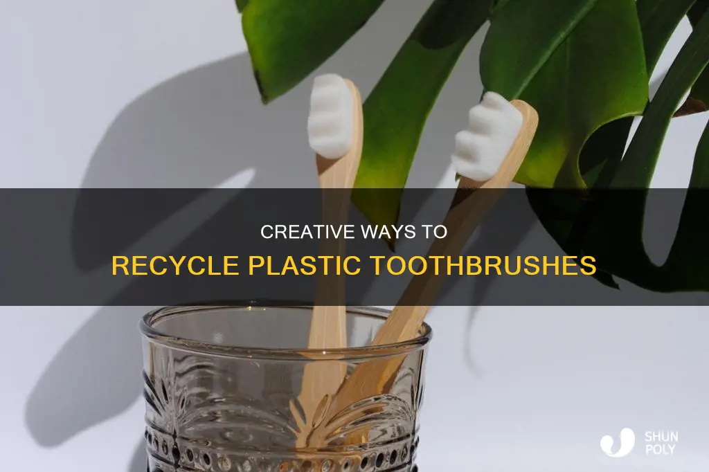 what to do with old plastic toothbrushes