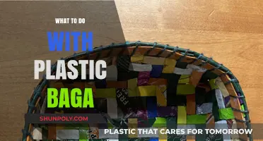Creative Ways to Reuse and Recycle Plastic Bags at Home