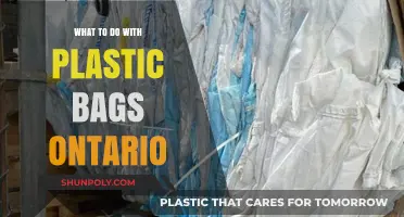 Eco-Friendly Solutions: Managing Plastic Bags in Ontario Responsibly