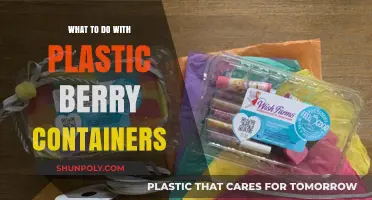 Creative Ways to Reuse Plastic Berry Containers