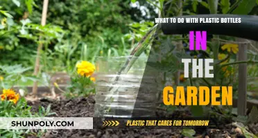 Creative Garden Hacks: Repurposing Plastic Bottles for Greener Spaces