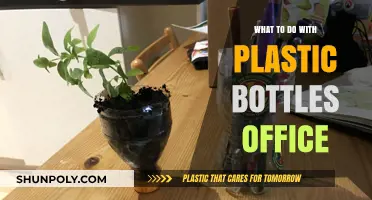 Creative Ways to Recycle Plastic Bottles in Your Office Space