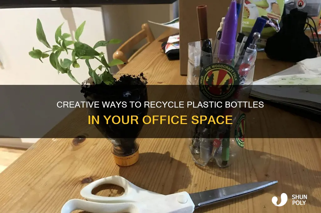 what to do with plastic bottles office
