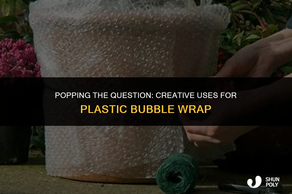 what to do with plastic bubble wrap