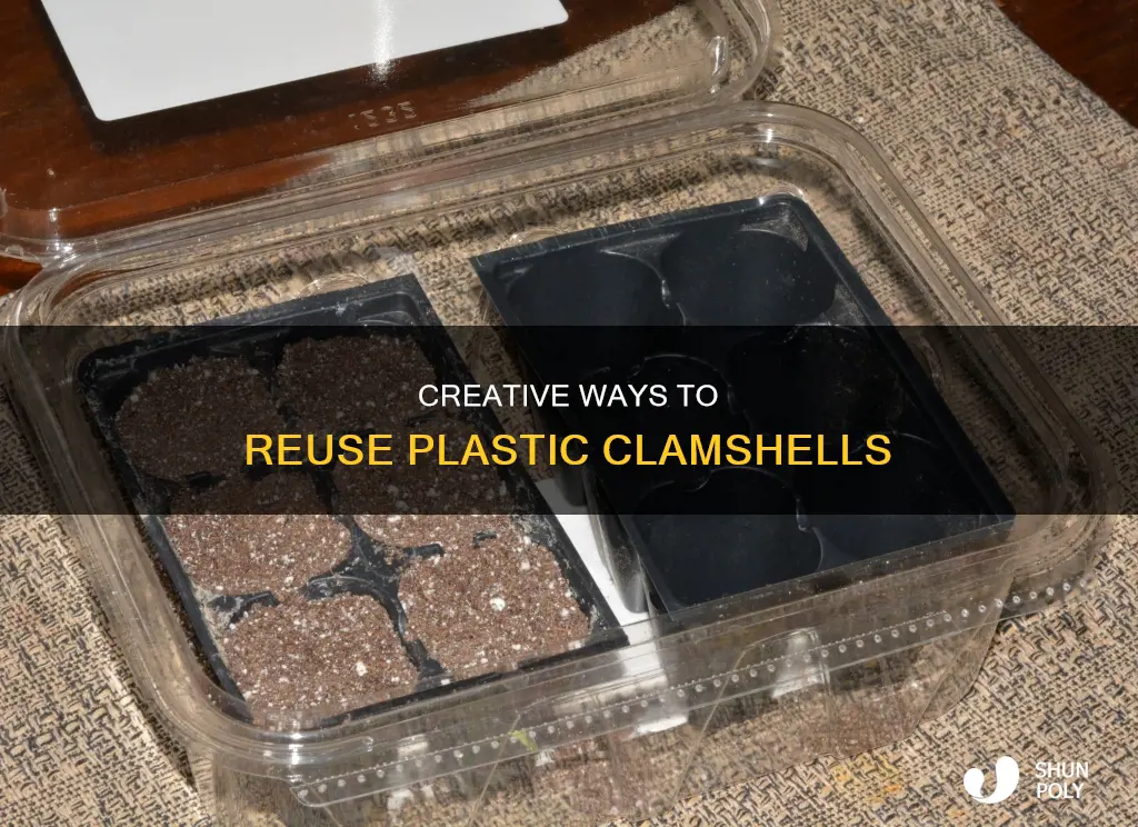 what to do with plastic clamshells