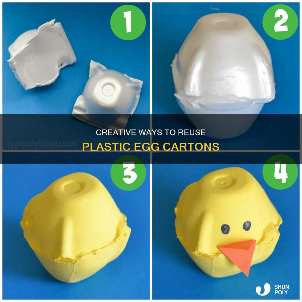 what to do with plastic egg cartons