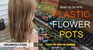 Creative Ways to Reuse Plastic Flower Pots