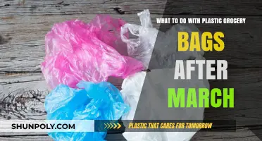 Eco-Friendly Solutions: Reusing Plastic Grocery Bags Post-March