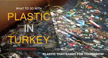 Turkey's Plastic Problem: Solutions and Innovations