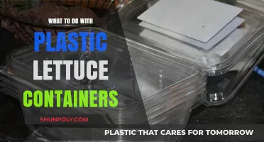 Creative Ways to Reuse Plastic Lettuce Containers