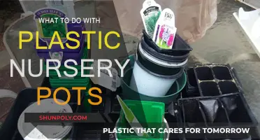 Creative Ways to Reuse Plastic Nursery Pots