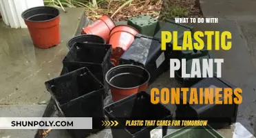 Creative Ways to Reuse Plastic Plant Containers