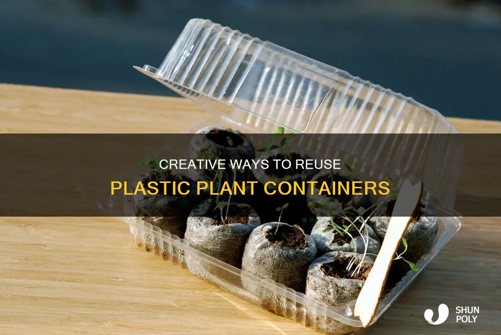 what to do with plastic plant containers