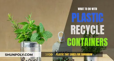 Creative Ways to Reuse Plastic Containers for a Greener Home
