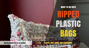 Creative Ways to Reuse and Recycle Ripped Plastic Bags at Home
