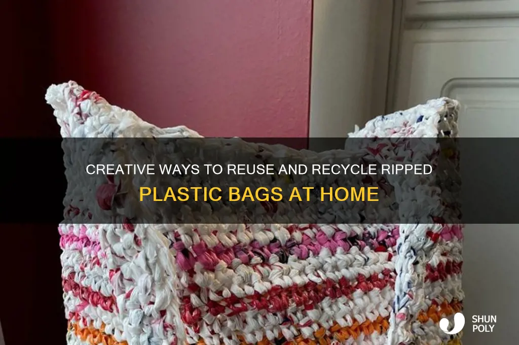 what to do with ripped plastic bags