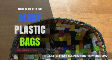 Creative Ways to Reuse and Recycle Excess Plastic Bags at Home