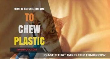 Safe Chewing Alternatives: What to Get Cats That Like Plastic