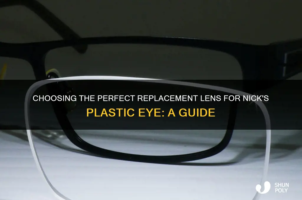 what to get nicks plastic eye lens