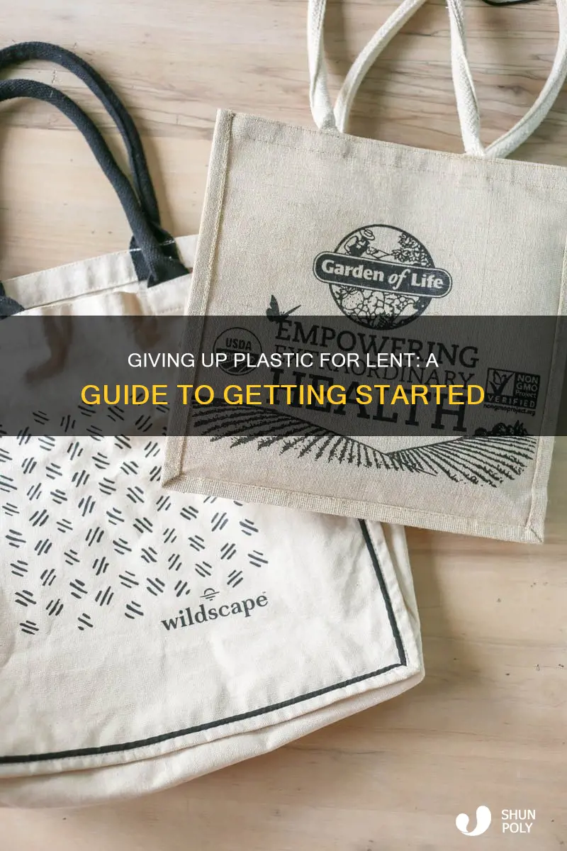 what to give up for lent plastic