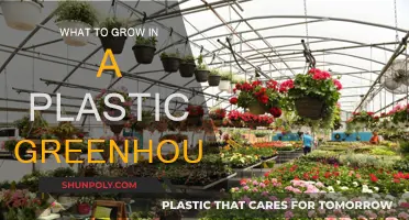 Spring Gardening: Plastic Greenhouse Options