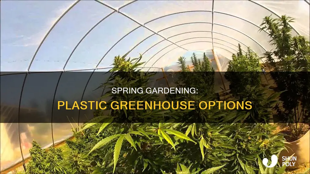 what to grow in a plastic greenhouse