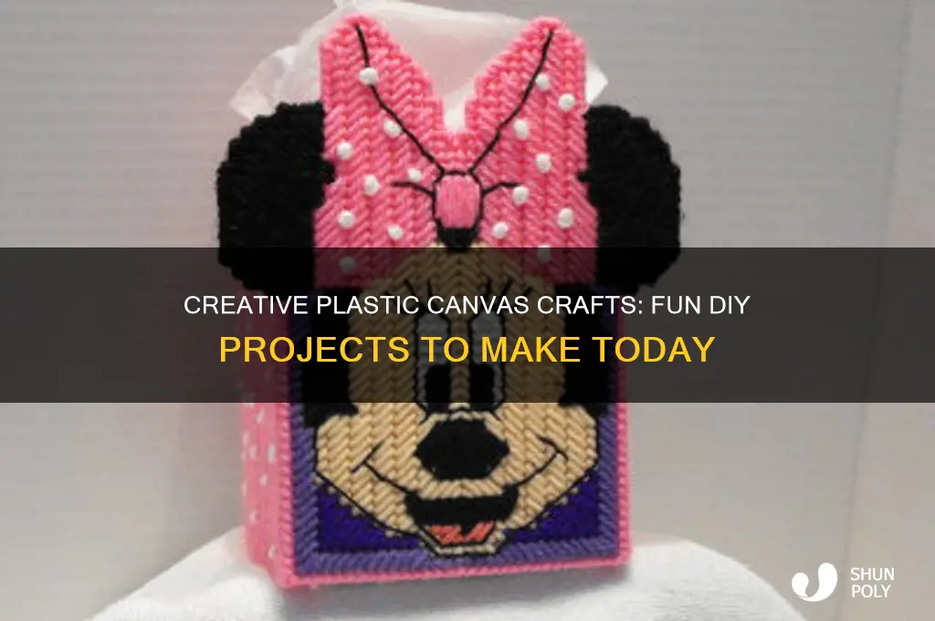 what to make from a plastic canvas