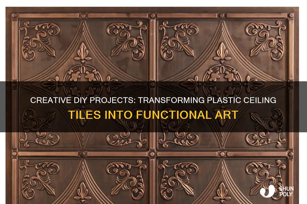 what to make from plastic ceiling tile