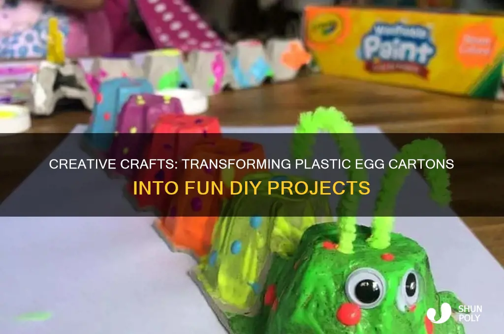 what to make with plastic egg cartons
