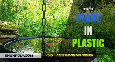 Eco-Friendly Gardening: What to Plant in Plastic Containers