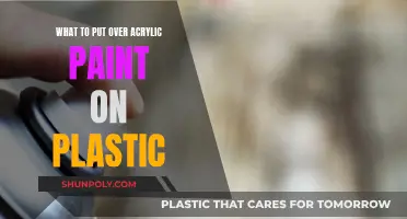 Protecting Acrylic Paint on Plastic: Sealant Options