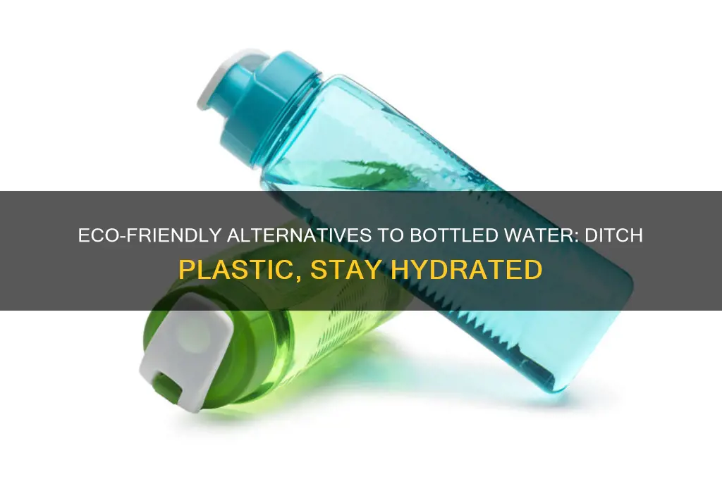 what to replace bottled water with to avoid plastic