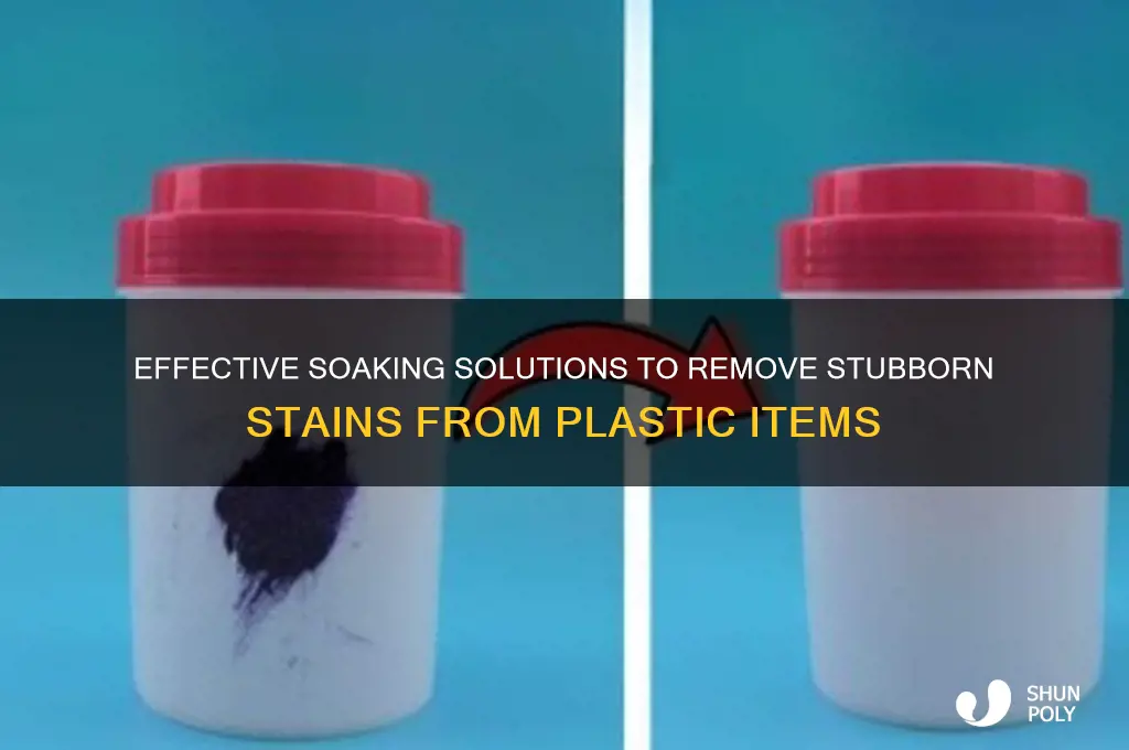 what to soak plastic in to get rid of stains