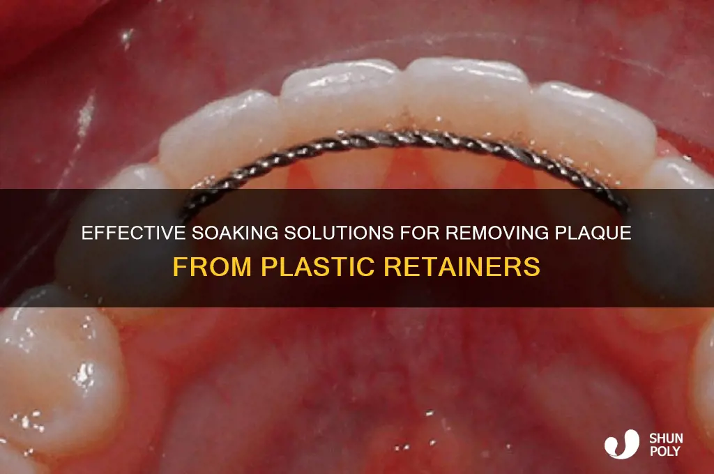 what to soak plastic retainer in to remove plaque