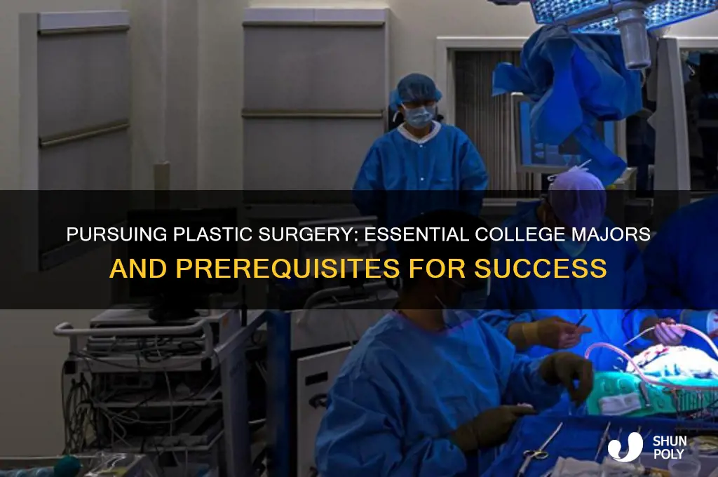 what to study in college to become a plastic surgeon