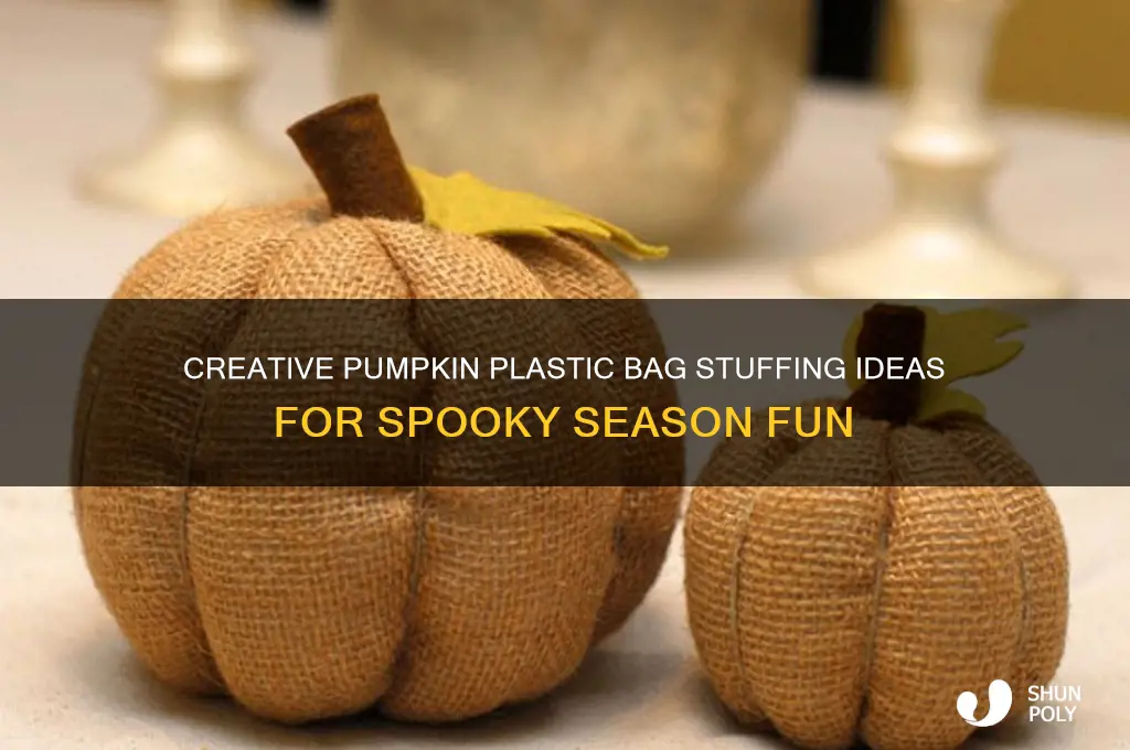 what to stuff in pumpkin plastic bags