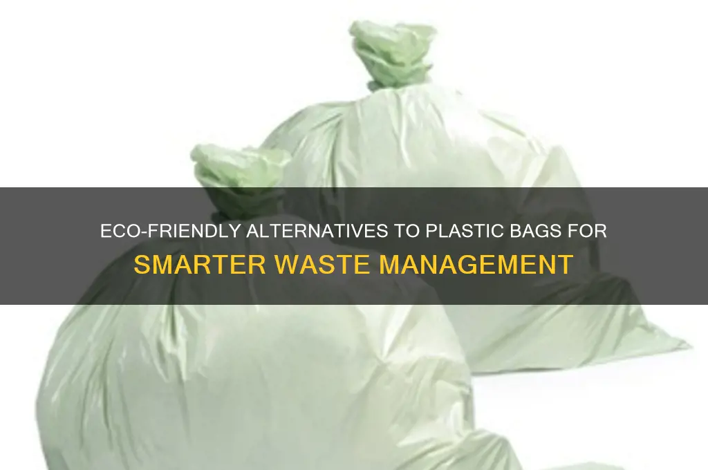 what to use for garbage instead of plastic bags