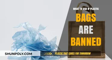 Eco-Friendly Alternatives: What to Use If Plastic Bags Are Banned