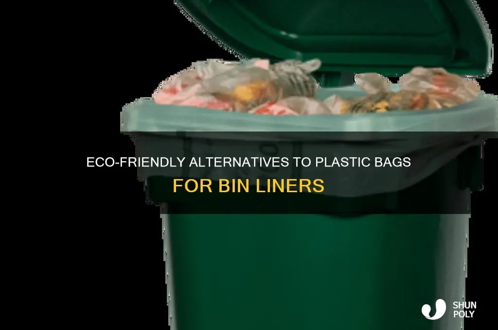 what to use instead of plastic bags for bin liners