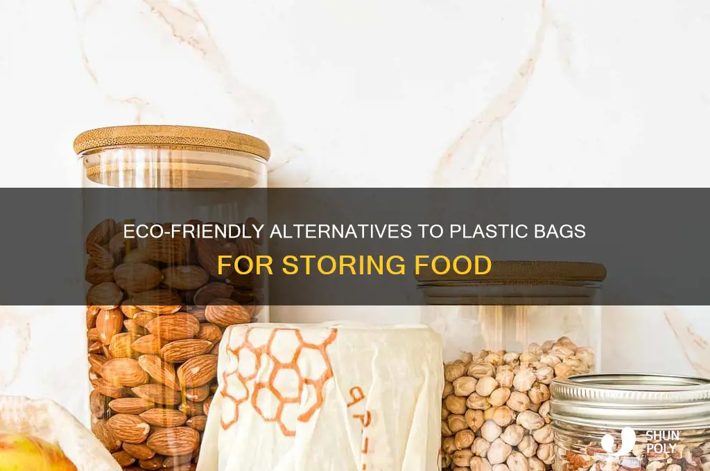 what to use instead of plastic bags for food