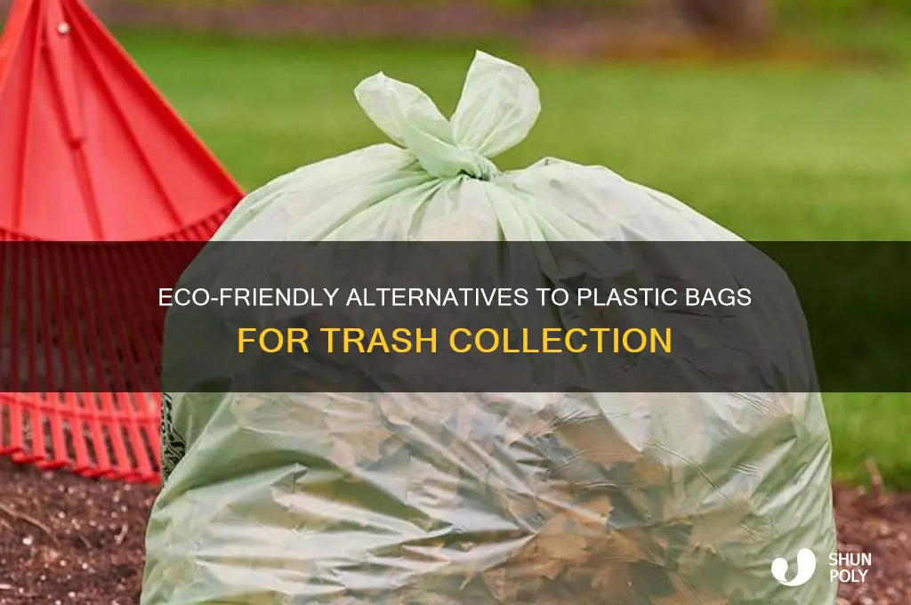 what to use to collect trash not plastic bag