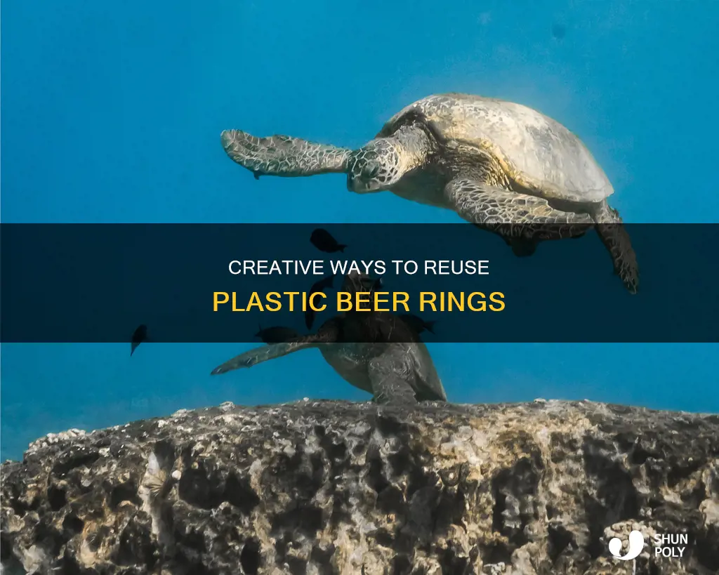 what to with plastic beer rings