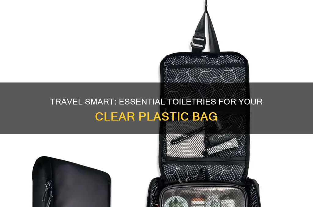 what toiletries need to be in a clear plastic bag