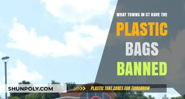 Connecticut Towns Leading the Way: Where Plastic Bags Are Banned