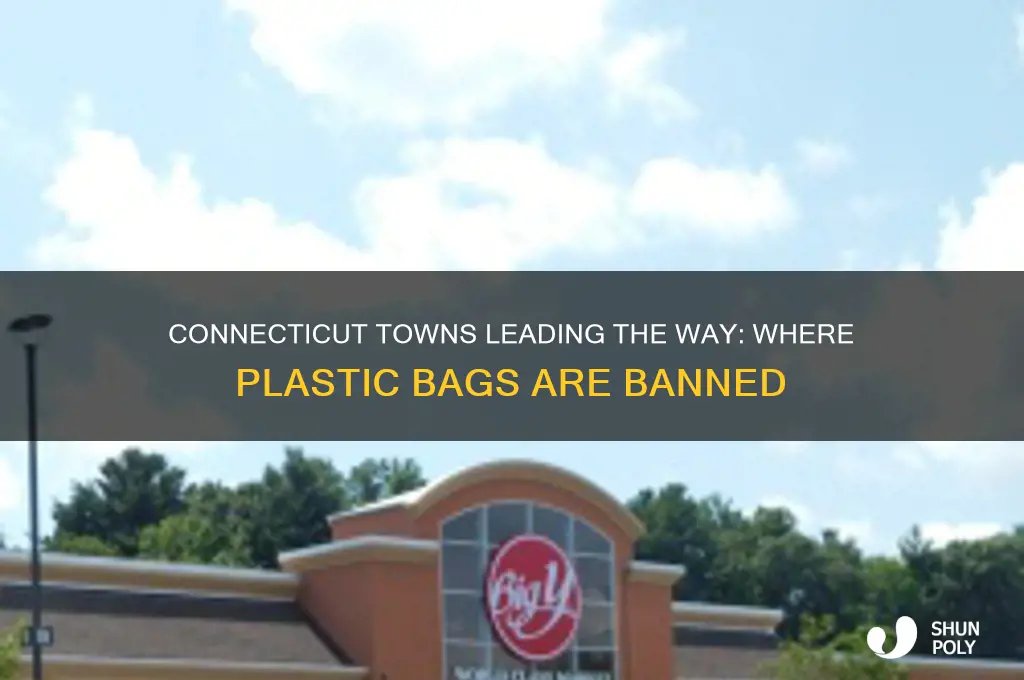 what towns in ct have the plastic bags banned